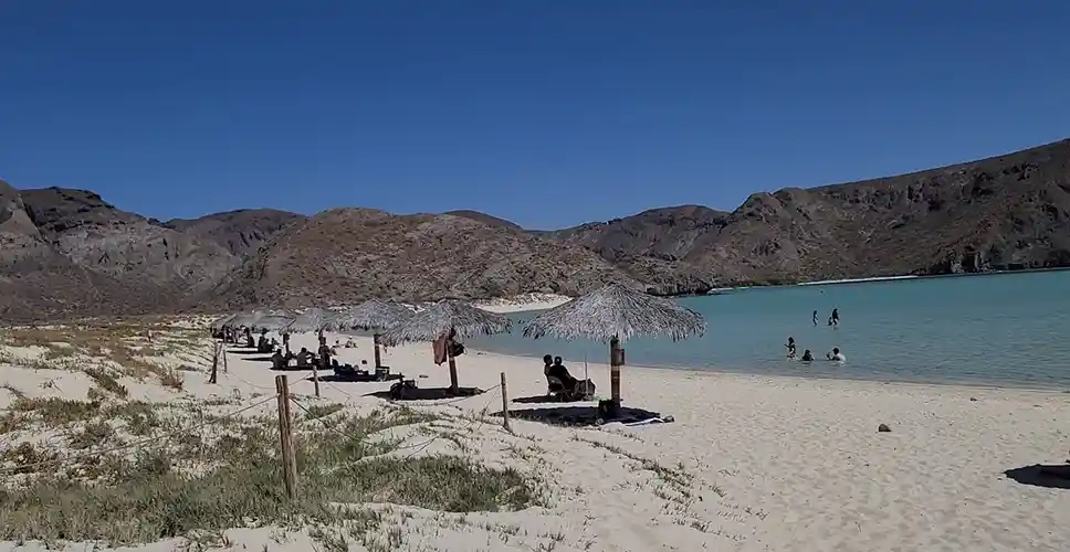 palapa shades at playa balandra