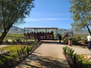 El Cielo winery Valle de Guadalupe