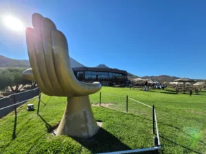 Decantos vinicola winery