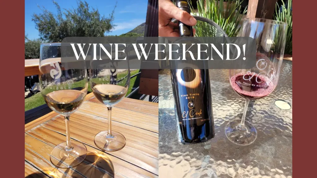 valle de guadalupe feature